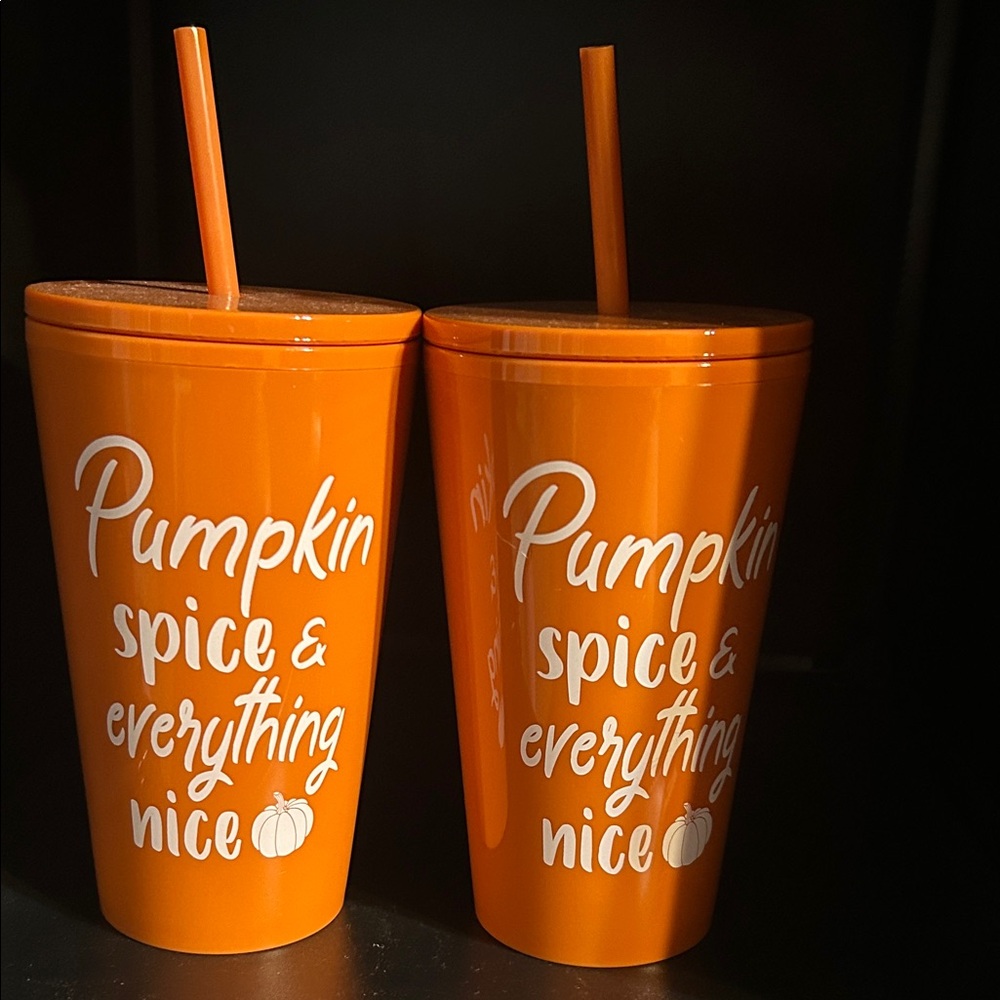 Hobby Lobby Orange Pumpkin Spice Tumblers